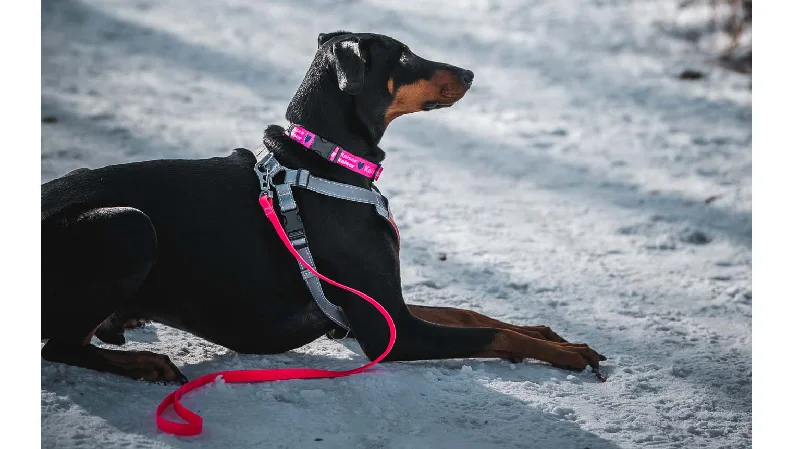   . **Pet water dispenser is silent**Dry Leash™