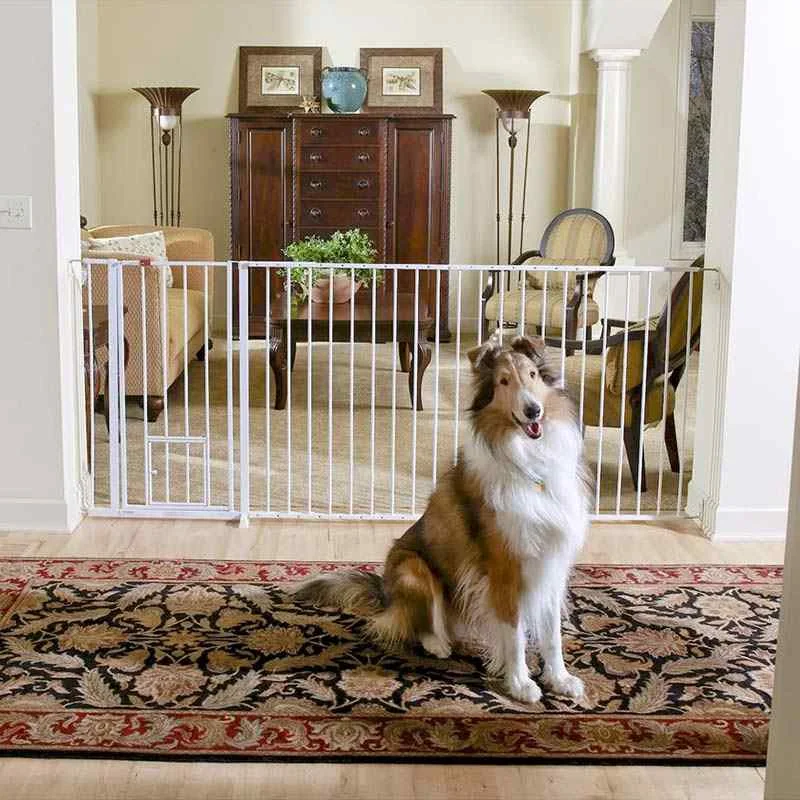 - Travel pet toy recommendationsExtra Tall Maxi Walk-Thru Gate with Bonus Mini Pet Door