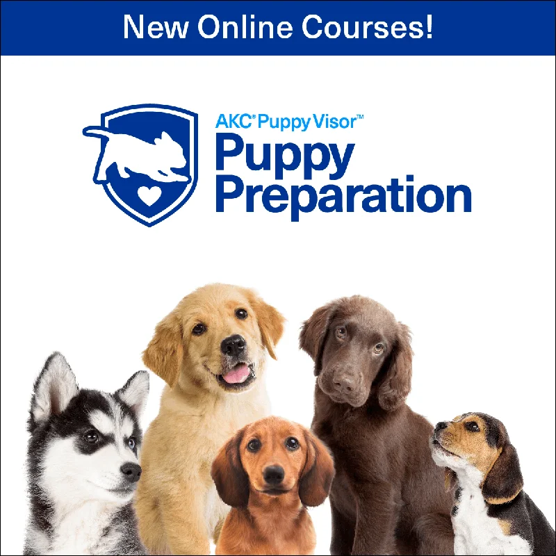 - Bird toy recommendationsPuppy Preparation Series – Online Courses