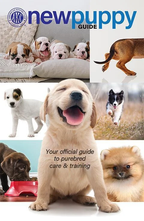 - How to clean pet toysNew Puppy Guide (Digital Download)