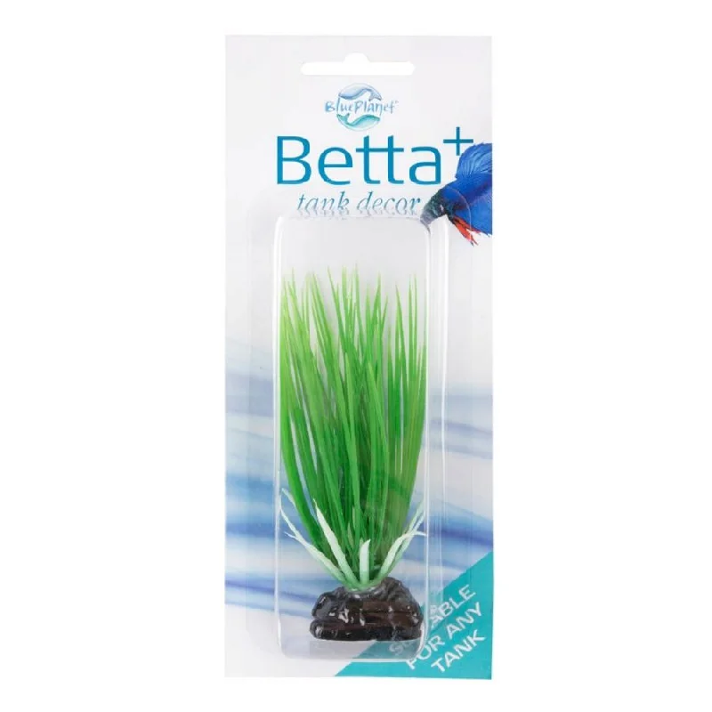 - Dog heart rate monitoring collarBlue Planet Betta Plant Style 3 Green