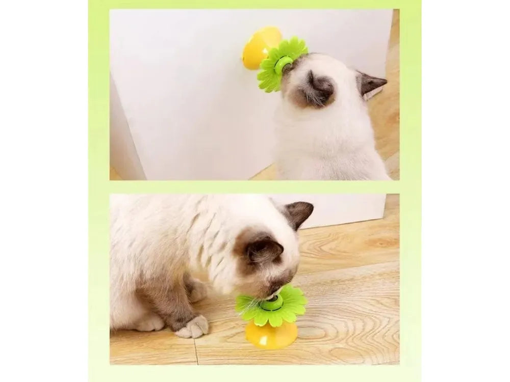 - Pet fence foldable indoorLittle Daisy Rotating Glowing Cat Toy D:9*7Cm