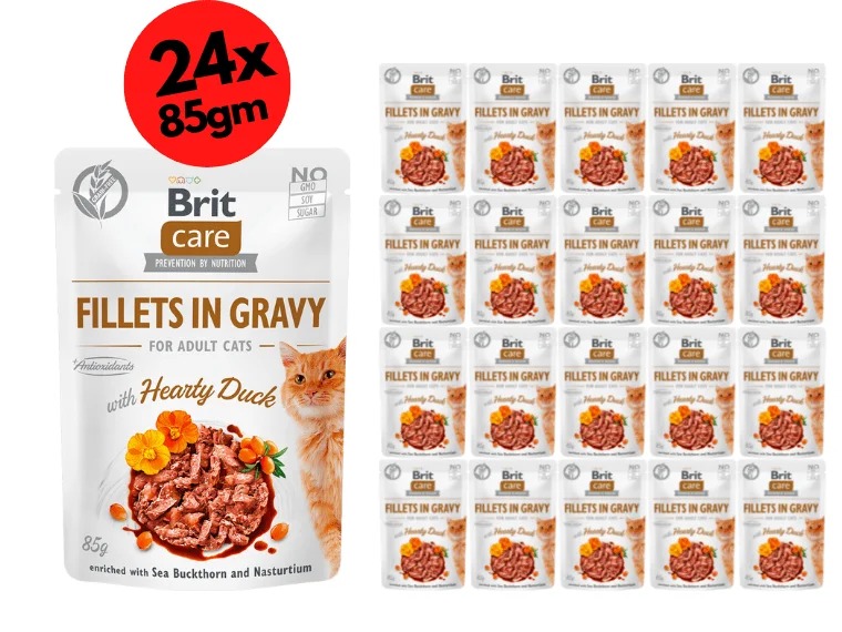 - Pet vitamin complex nutrition tabletsBrit Care Cat Fillets in Gravy with Hearty Duck 24x85g