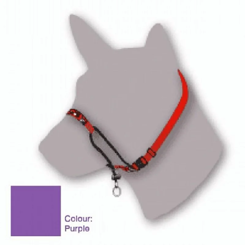 - Remote interactive pet feederBlack Dog Training Halter Purple