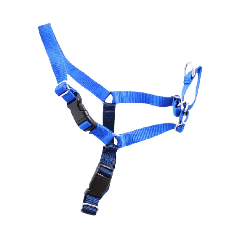 - Cat anti-jump window safety netGentle Leader Harness With Front Leash Attachment Blue