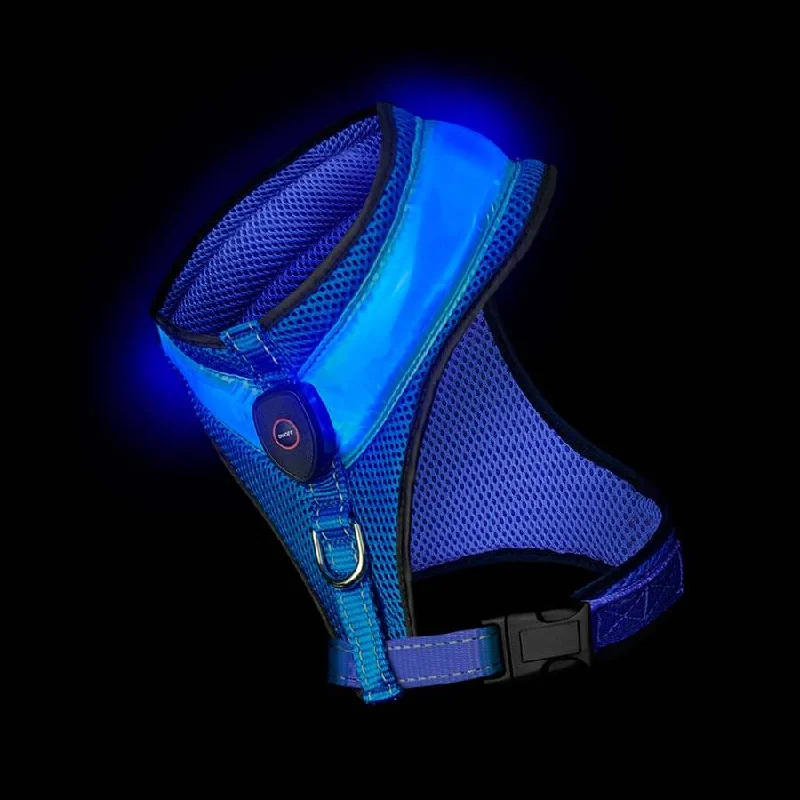  -Non-contact cat thermometerLoomo LED Mesh Harness Blue