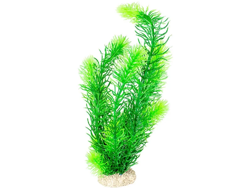 - Remote interactive pet feederPlant Hornwort