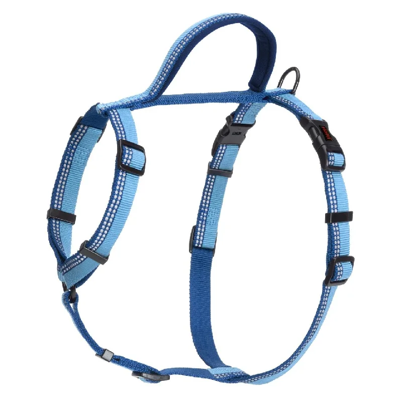 - The effect of dog food on dental healthHalti Blue Dog Walking Harness Medium