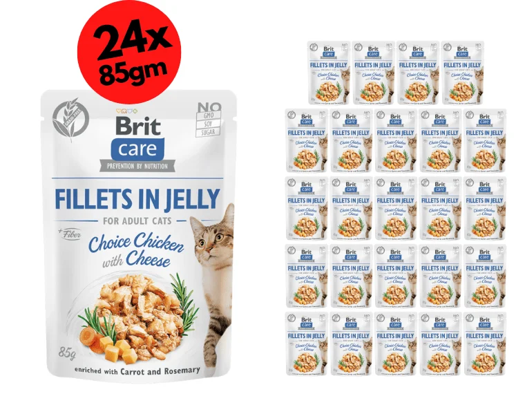 - Dog disposable foam shower gelBrit Care Cat Fillets in Jelly Choice Chicken with Cheese 24x85g