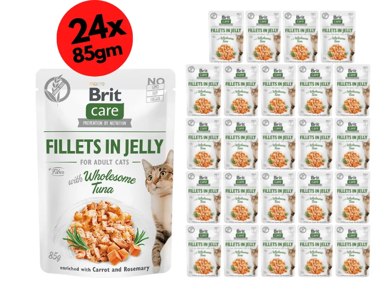 - Pet electric nail grinder silent modelBrit Care Cat Fillets in Jelly with Wholesome Tuna 24x85g