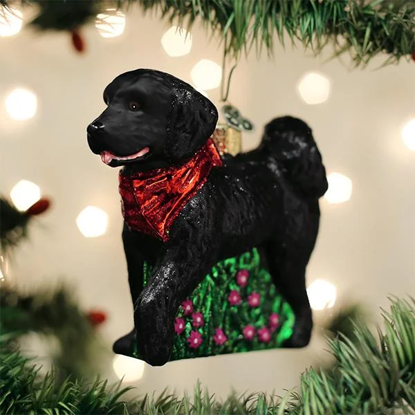 - Remote interactive pet feederBlack Doodle Dog Ornament