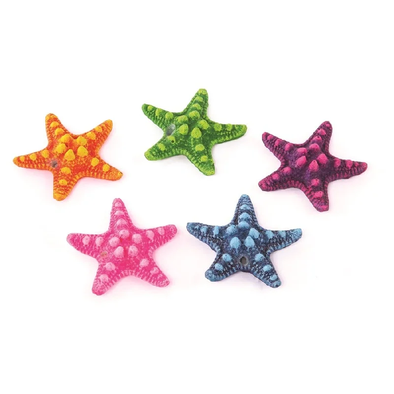 ---Kazoo Starfish Assorted 5pcs