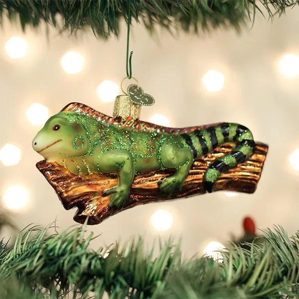 - Pregnant cat delivery room warming boxIguana Ornament