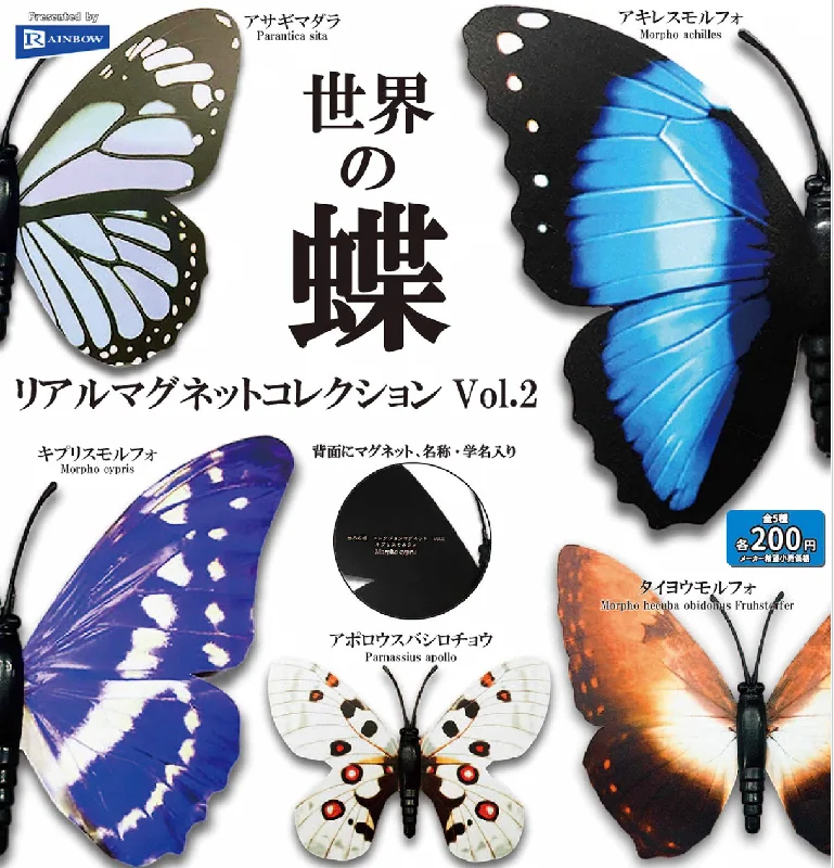 - Climbing pet constant temperature heating padButterflies of the world Magnet 2 Gacha Series