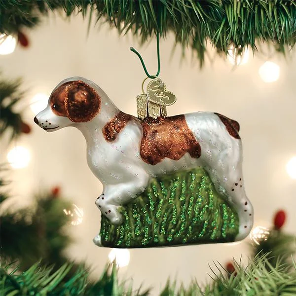 - Pregnant cat delivery room warming boxBrittany Spaniel Ornament