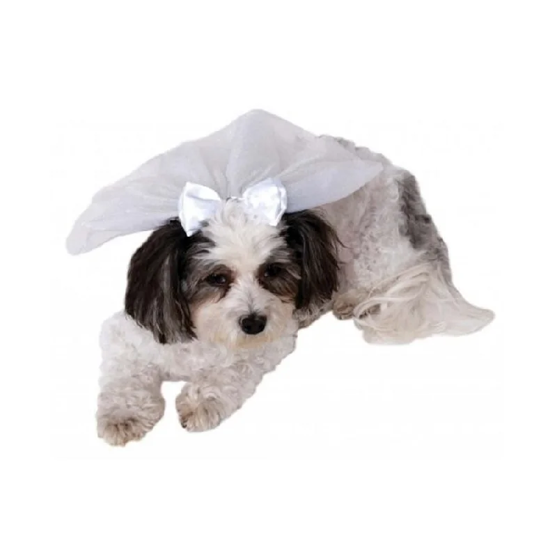 - Pet vitamin complex nutrition tabletsDog Wedding Veil