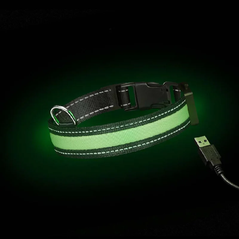 Pet ProductsLoomo Moonshine LED Dog Collar Green