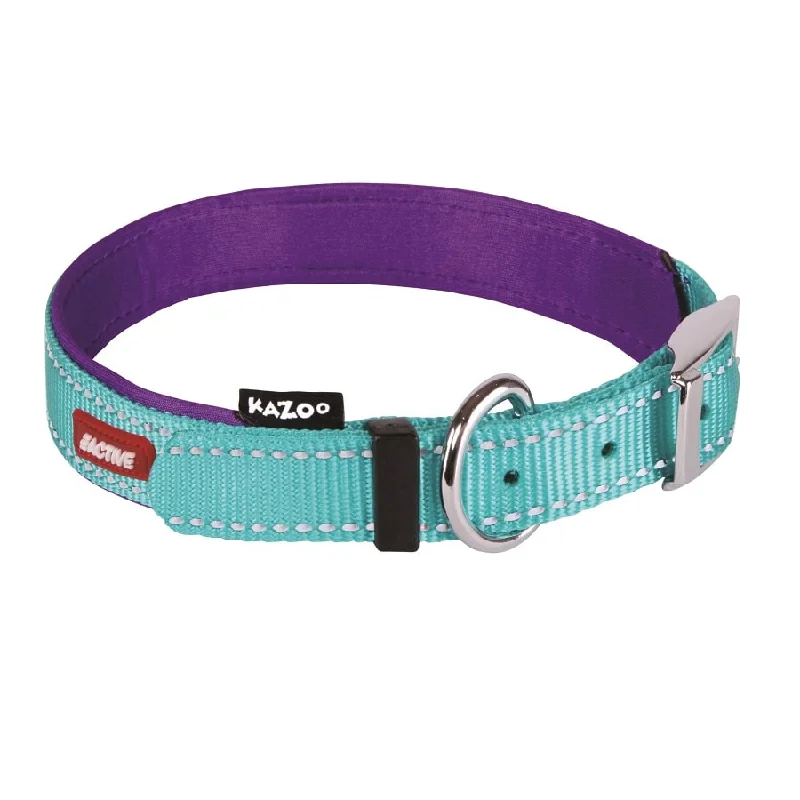 - Air box TSA certified check-inKazoo Active Nylon Collar Aqua Purple