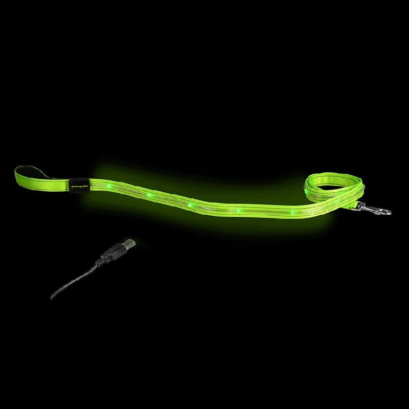 - Car dog seat beltLoomo LED Dog Lead Green