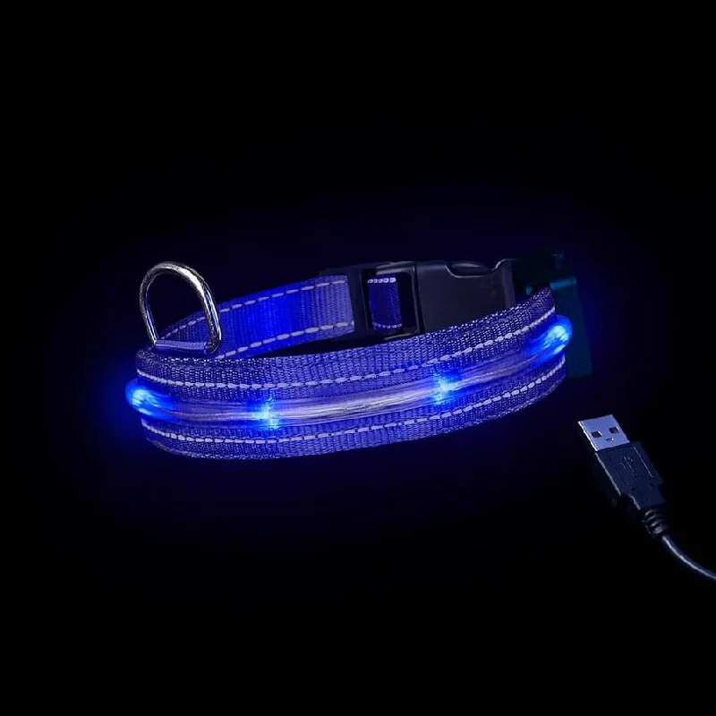 - Summer pet ice matLoomo LED Dog Collar Blue