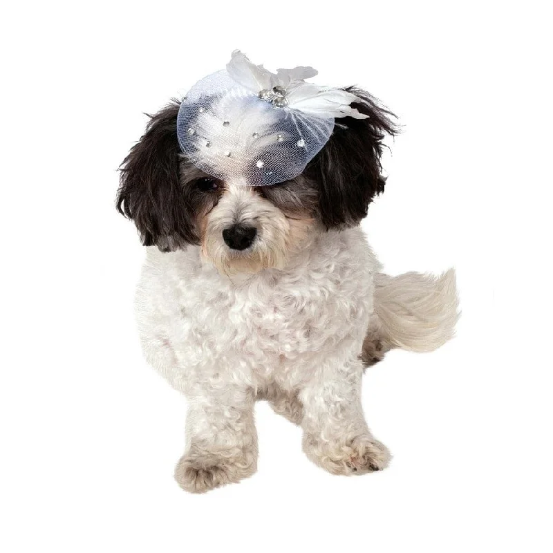 - Remote interactive pet feederFancy Formal Hat For Dogs