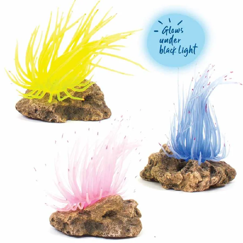 - Air box TSA certified check-inKazoo Soft Grass Coral With Rock