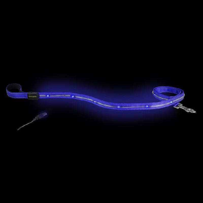 - Cat stress soothing sprayLoomo LED Dog Lead Blue