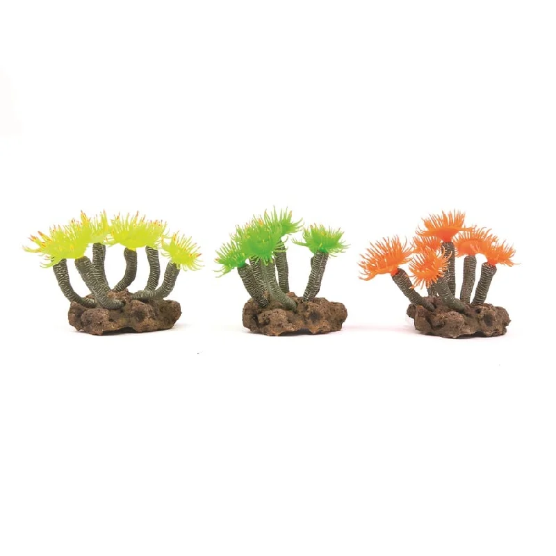 - Degradable pet feces bagKazoo Soft Tree Coral