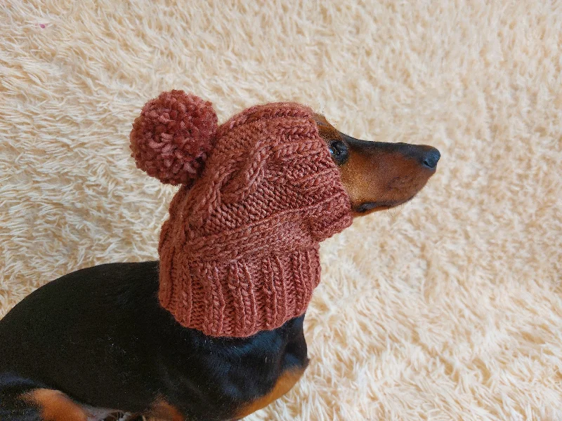 Pet birthday party clothesDog hat with pom poms wool, warm hat for dachshund, wool hat for small dogs