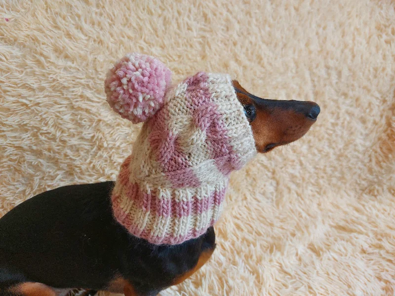 Focus on health and safety:Dog hat with pom poms wool, warm hat for dachshund, wool hat for small dogs