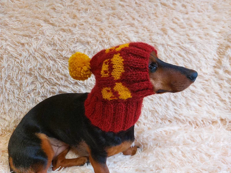 Small dog clothesDuck clothes hat for dachshund or small dog