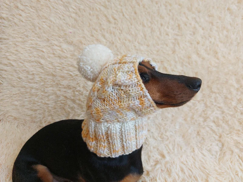 Pet Halloween clothesDog hat with pom poms wool, warm hat for dachshund, wool hat for small dogs