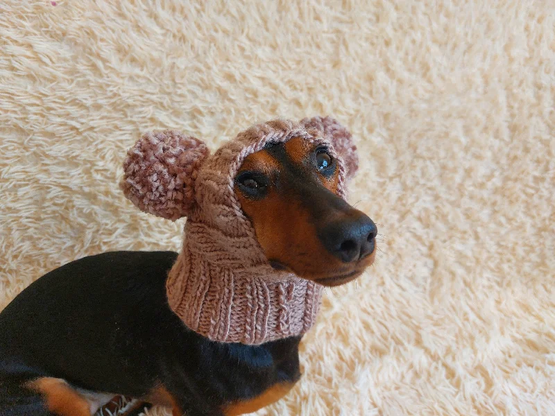 Combined with specific occasions:Dog hat with two pom poms wool, warm hat for dachshund, wool hat for small dogs