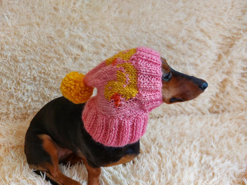 XX brand pet fashionDuck clothes hat for dachshund or small dog