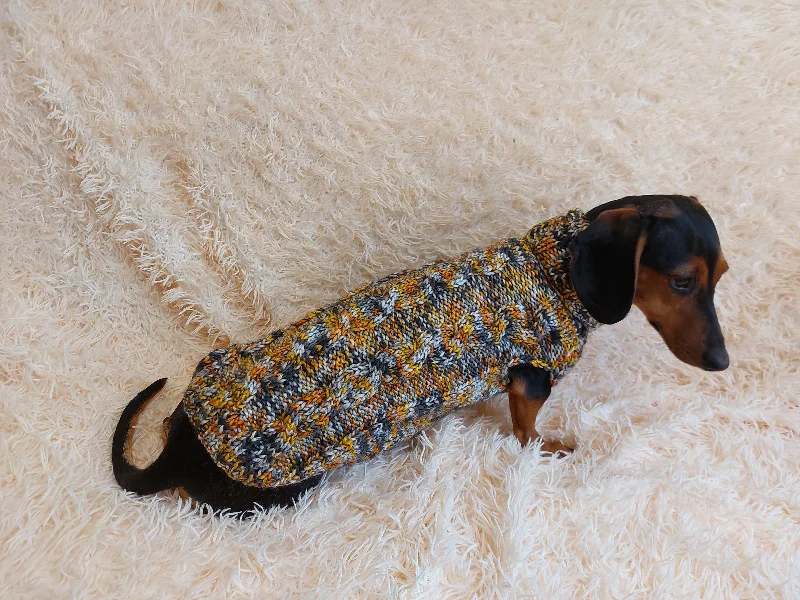 Pet ClothesKnitted jumper for small dogs, sweater for small dachshund, sweater for chihuahua, sweater for yorkshire terrier, sweater for toy terrier