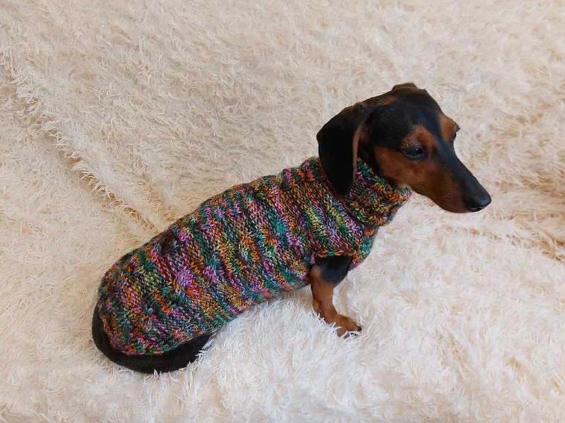 Dog clothesKnitted jumper for small dogs, sweater for small dachshund, sweater for chihuahua, sweater for yorkshire terrier, sweater for toy terrier