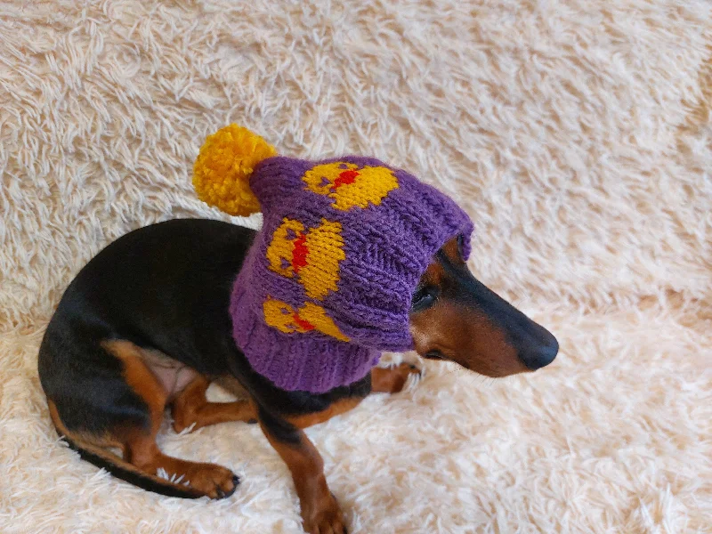 Large dog clothesDuck clothes hat for dachshund or small dog