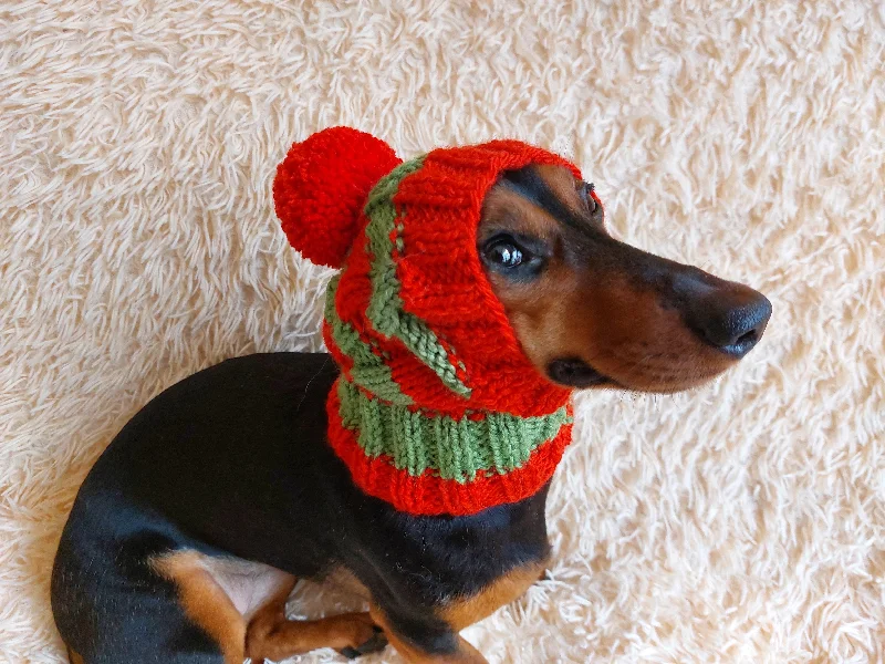 Pet custom clothesDog hat with pom poms wool, warm hat for dachshund, wool hat for small dogs