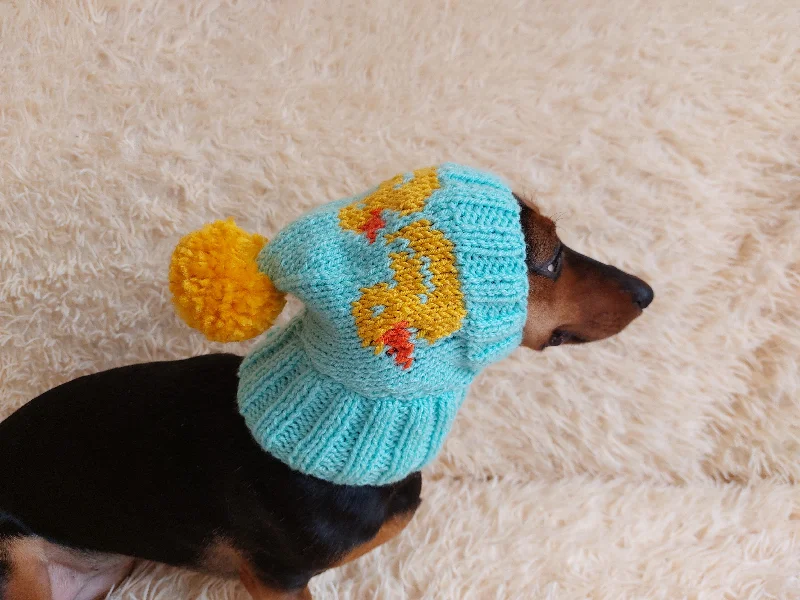 Pet cartoon pattern clothesDuck clothes hat for dachshund or small dog