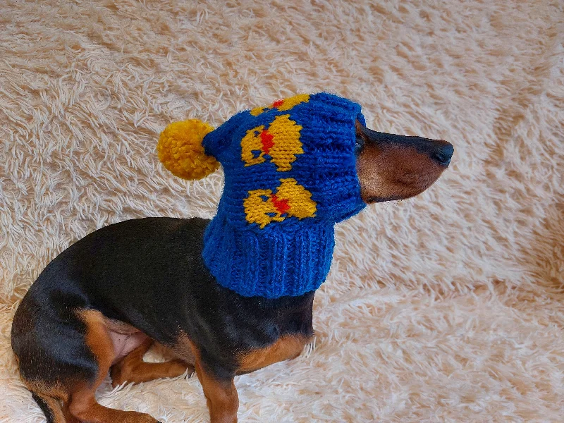 Cat clothesDuck clothes hat for dachshund or small dog