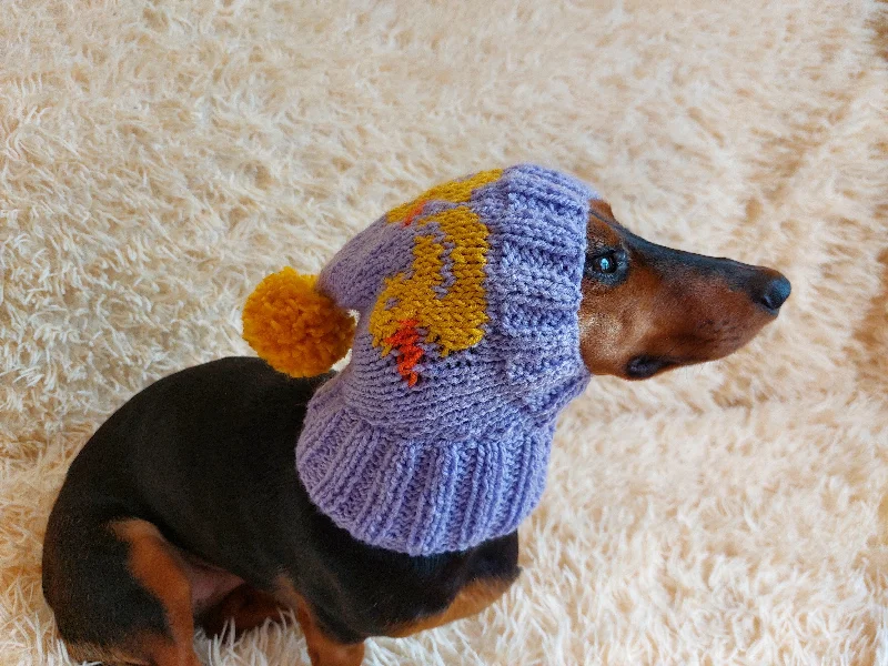 Classification by brand or style:Duck clothes hat for dachshund or small dog