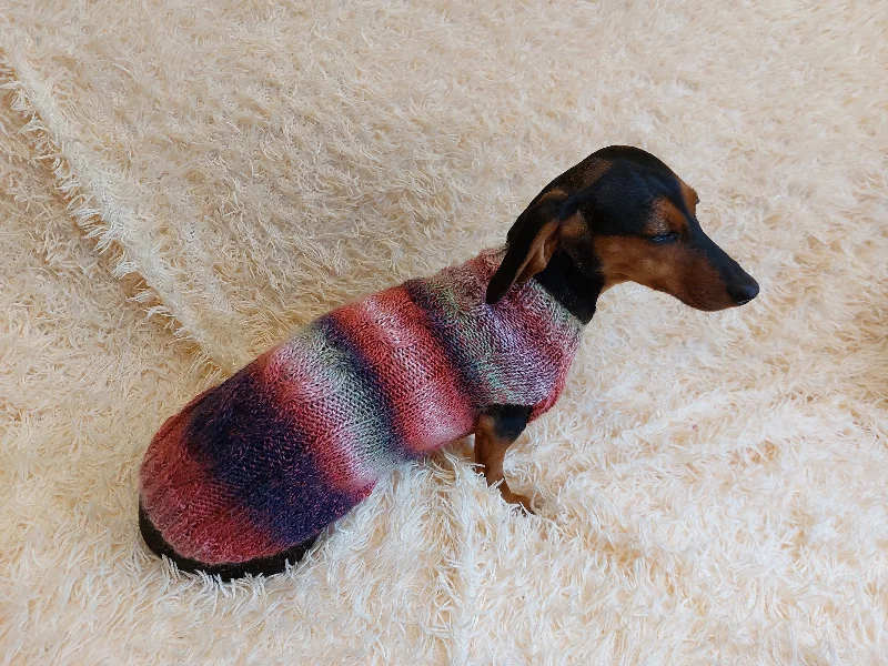 Focus on health and safety:Sausage clothes knitted sweater, clothes warm sweater dachshund puppy, knitted sweater for dachshund dog, clothes for dachshunds