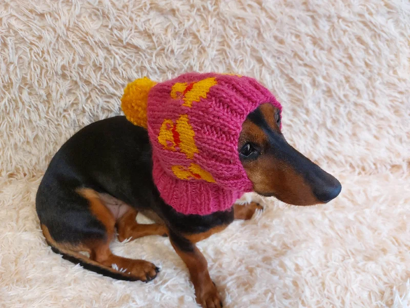 Classification by season or weather:Duck clothes hat for dachshund or small dog