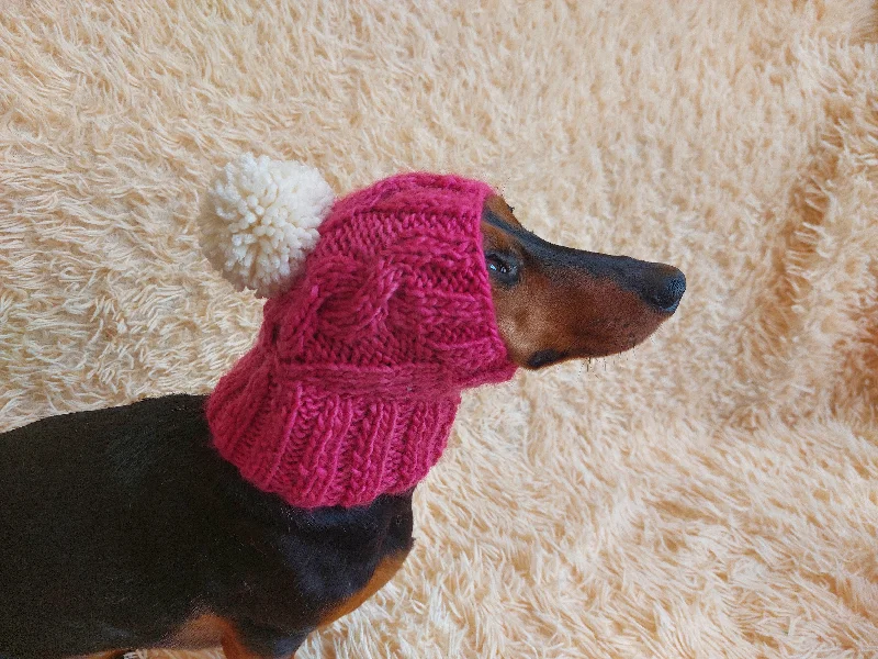 Pet anti-allergic clothesDog hat with pom poms wool, warm hat for dachshund, wool hat for small dogs