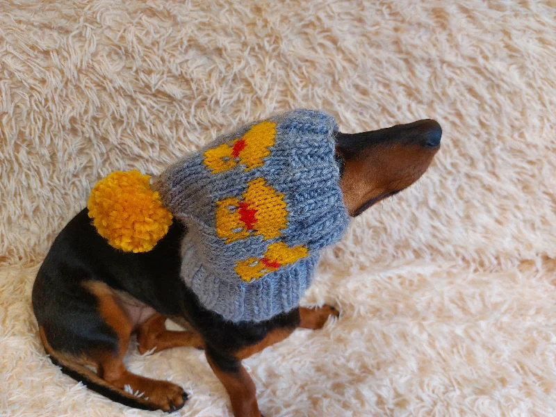 Winter warm clothes for catsDuck clothes hat for dachshund or small dog