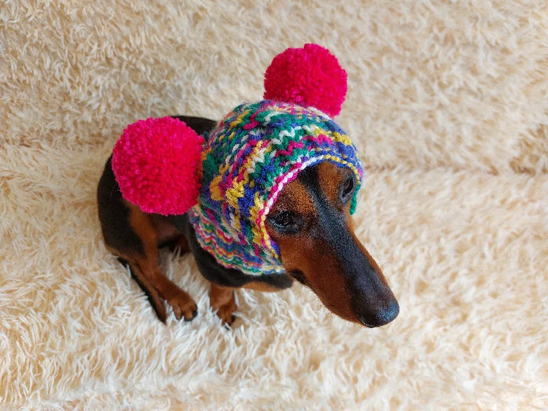 Dog clothesDog hat with two pom poms wool, warm hat for dachshund, wool hat for small dogs