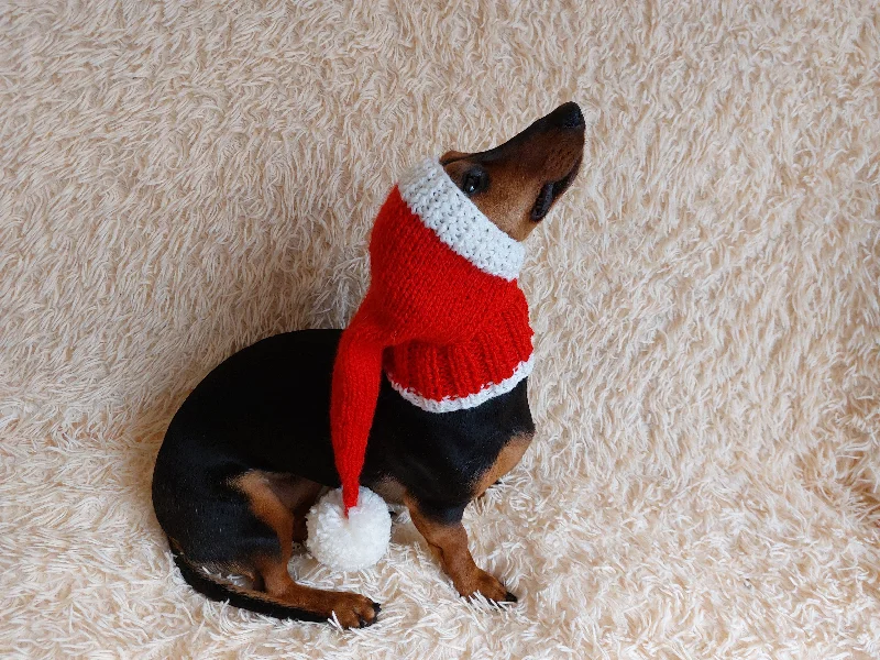 Pet fashion clothesSanta hat for dog, christmas santa hat for dog, santa hat for dachshund